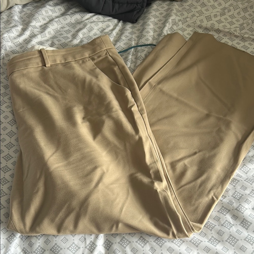 Talbots Tan Windsor Classic Pants - 18